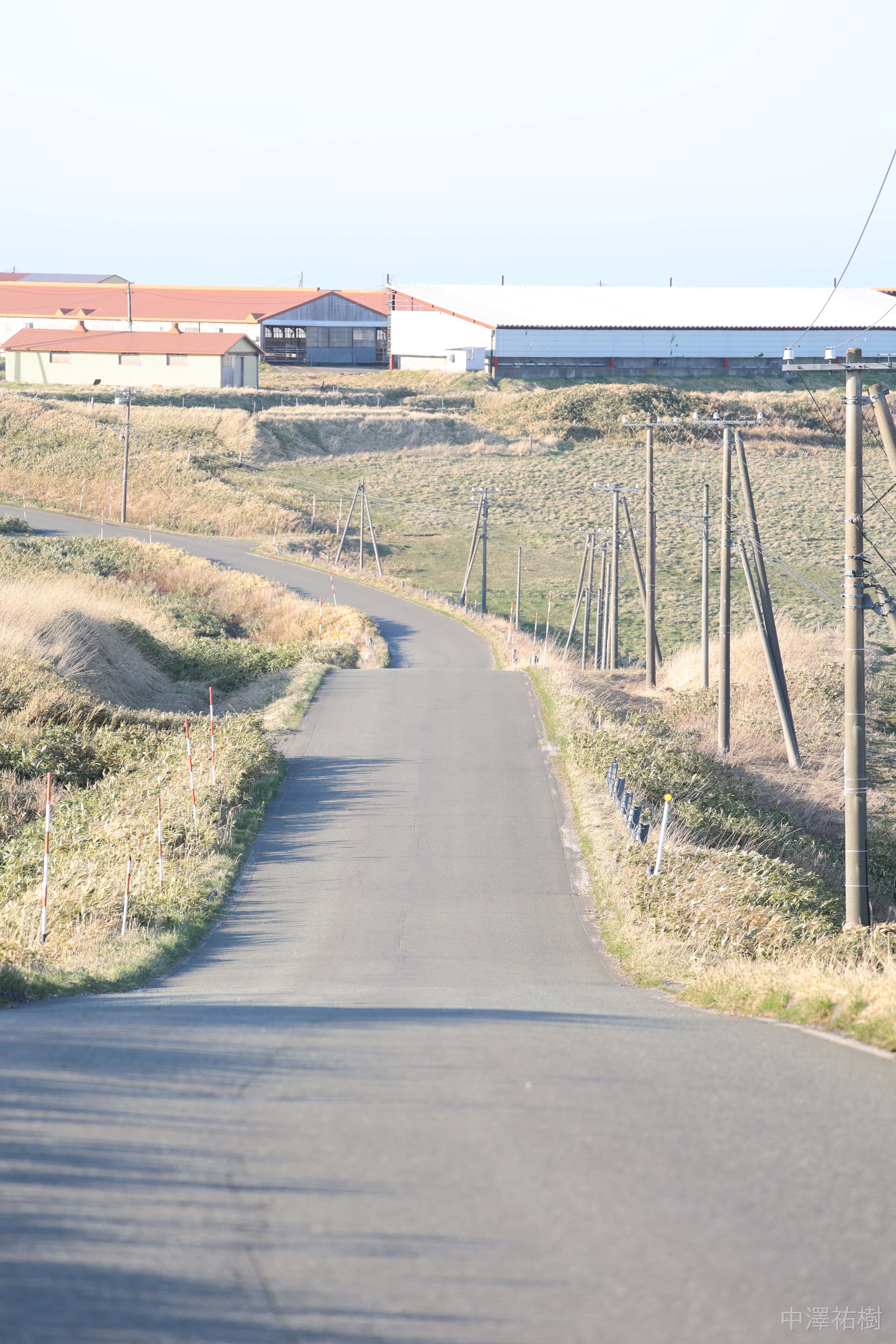 136.宗谷丘陵・舗装道路と電柱