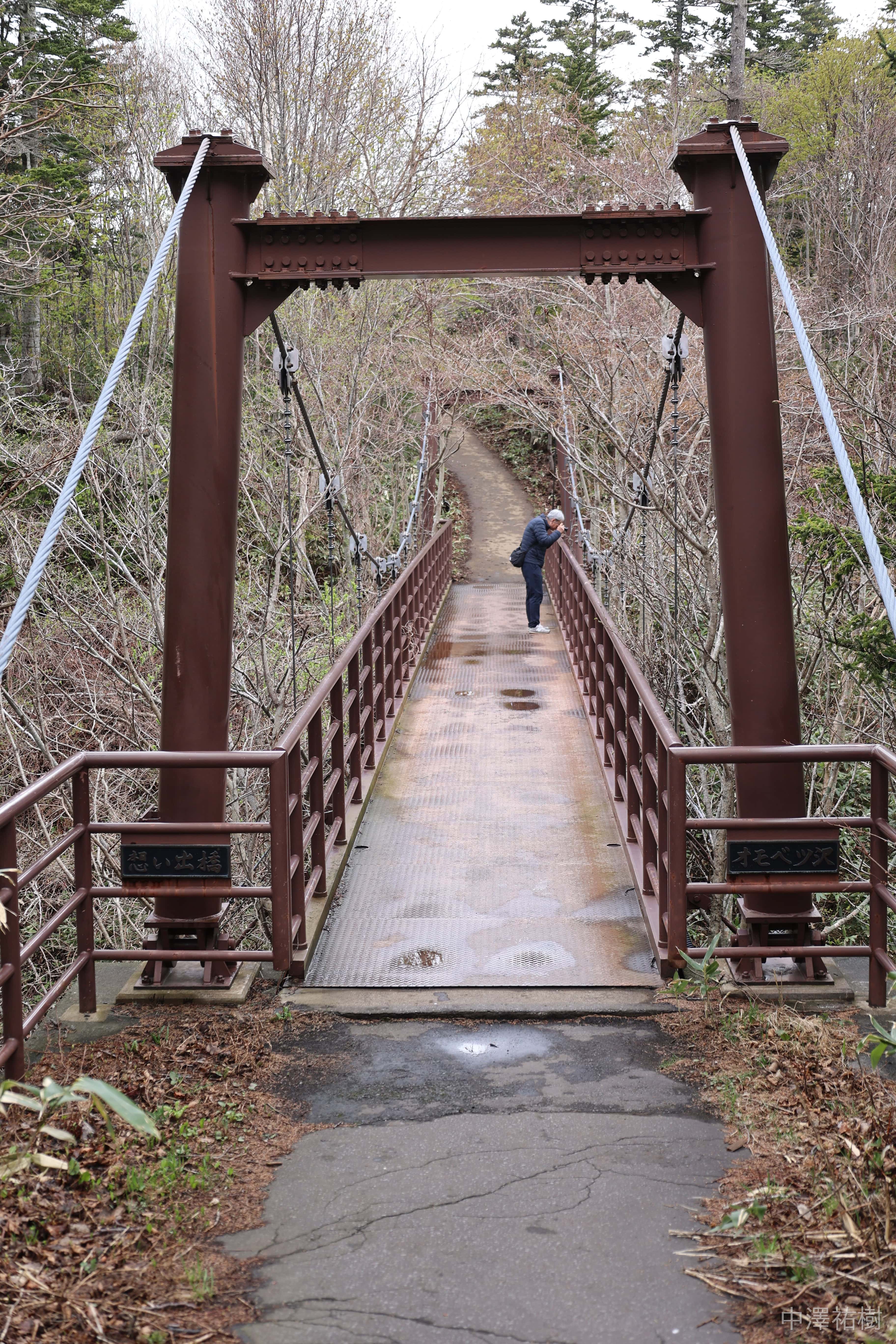 127.姫沼の吊り橋と歩道