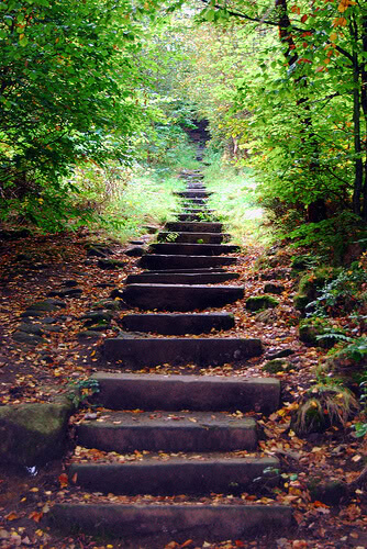 steps