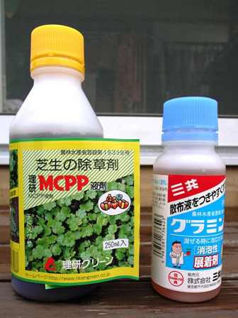 ノーモア・カタバミ