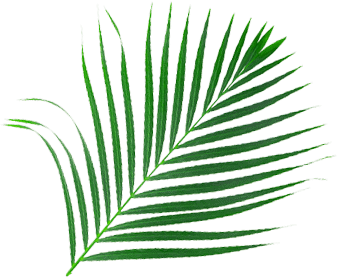 Home decor Image