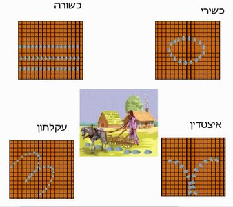 סלעים שכלולים או לא במכירת שדה, בבא בתרא דף יומי קג
