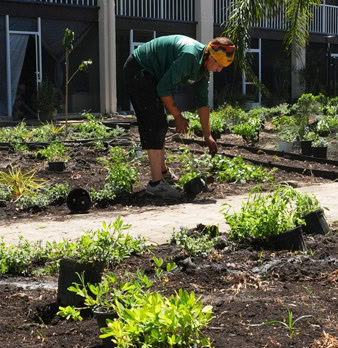 Wilcox Nursery