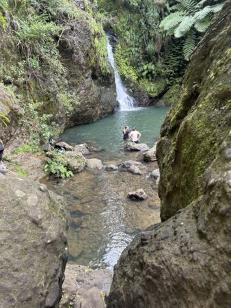 Karamatura Falls swimming pool in the Waitakere Ranges