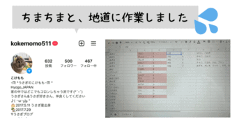 うさぎの名前ランキング