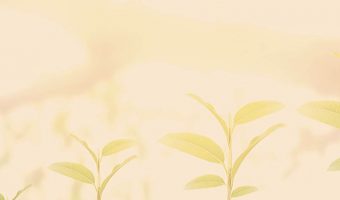 Develop a growth mindset