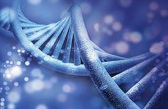 DNA personeelsplanner