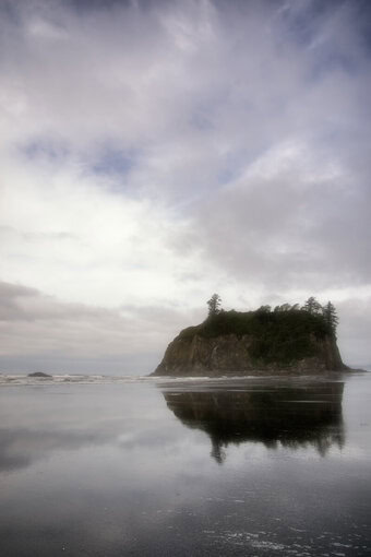 EMDR therapist: an island rises above low tide