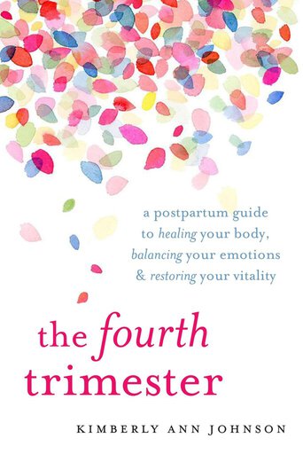 the fourth trimester book cover