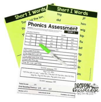 Phonics Assessments - Unit 1 - CVC Words - Image 2