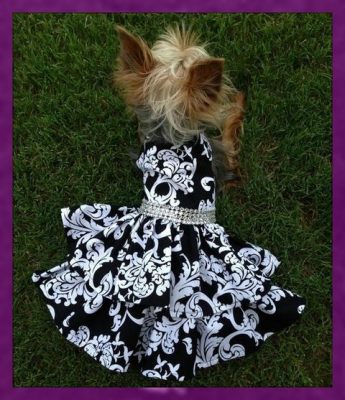 vestidos para perritas pincher