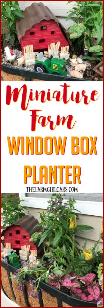 Brighten up your gardening landscape with this DIY Miniature Farm Window Box Planter idea. {Ad} #ForWhatMattersMost