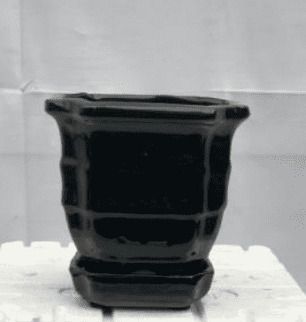 Black-Ceramic-Bonsai-Pot-Square-With-Attached