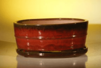 Parisian-Red-Ceramic-Bonsai-Pot-Oval-Professional