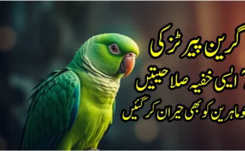 green parrot