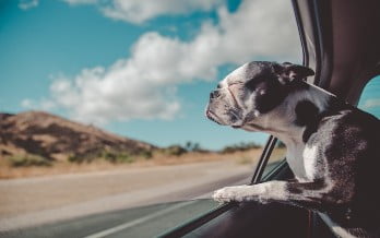 five steps to getting a novated lease