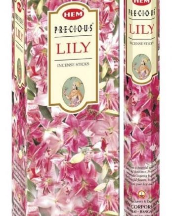 Encens HEM Lila 20g