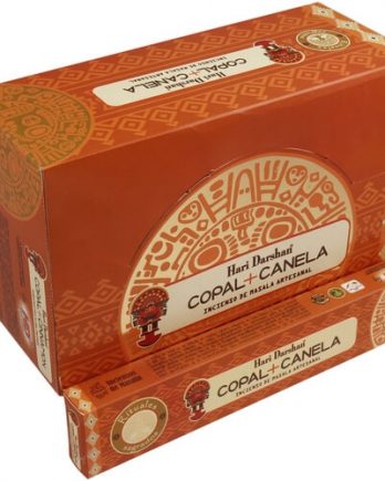 Encens Hari Darshan Cannelle et Copal Series 15g