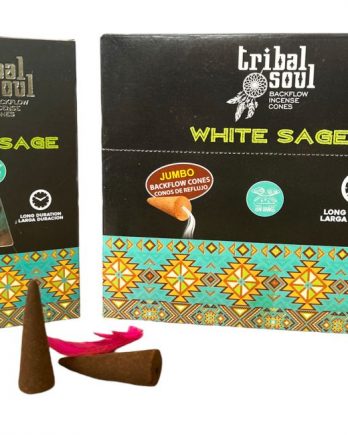 Encens Tribal Soul Sauge Blanche Backflow 10 cônes