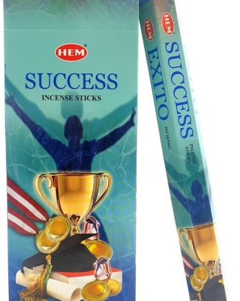 Encens HEM Succès 20g
