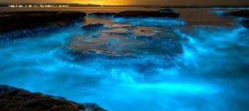 lagoon glowing during the night