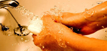 Obsessive-compulsive disorder may reflect a propensity for bad habits