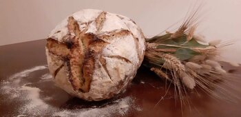 IMG ALT=PANE SENATORE CAPPELLI