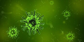 Coronavirus, pas de confinement à Tarbes