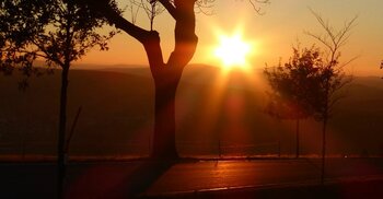 Météo Tarbes : retour du soleil ce vendredi, 10 degrés dans l'après midi