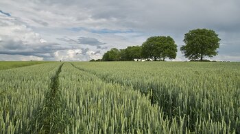 Avril : déficit de pluie sauf dans les Hautes Pyrénées