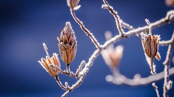 Froid et pluie à Tarbes : retour de l'hiver cette semaine