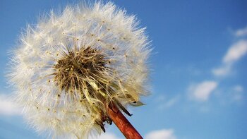 De l’Ozone dans le ciel de Tarbes mardi