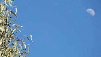 Météo Tarbes. soleil et hausse des températures ce lundi