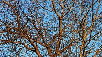 Météo Tarbes. Soleil et 18 degrés vendredi