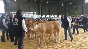 Le salon agricole de Tarbes est ouvert