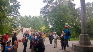 Camino de Santiago Organizado