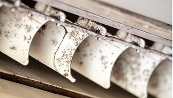 Signs Your AC Unit is Mold-Infected: A Quick Guide