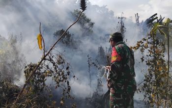 Terpencil dan Sulit Dijangkau, Babinsa Sabaleh Bersama Warga Jinakkan Api