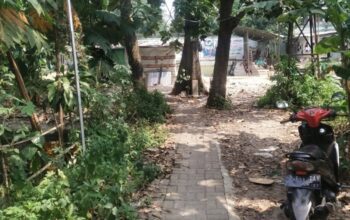 UP TMR Ragunan Diduga Sewakan Lahan Aset Pemprov Jadi Pemancingan Galatama Kepada Pihak Ketiga.III