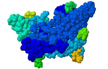 Разница между АМГ и ФСГ 2 Фолликулостимулирующий гормон - ФСГ