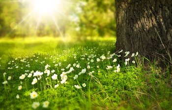 Météo : vers un week end chaud et ensoleillé à Tarbes
