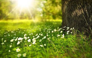 Soleil et hausse du thermometre ce mercredi à Tarbes
