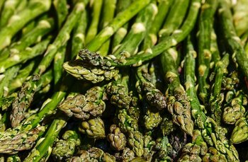 Tarbes, les marchés autorisés cette semaine dans les Hautes Pyrénées