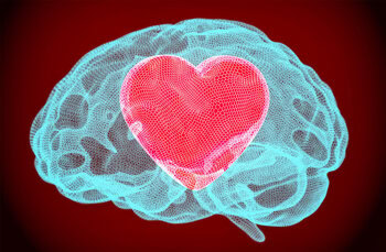 New research uncovers neural and genetic connections to romantic love in newlyweds