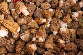 Les marchés de Cieutat et Barbazan-Debat autorisés à titre dérogatoire