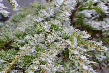 Météo Tarbes : gelées, soleil et froid ce mardi 9 décembre