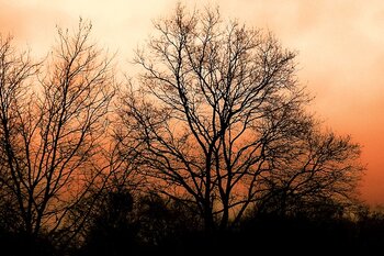 Météo Tarbes : soleil puis nuages et rares pluies