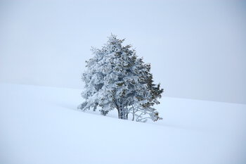 Neige sur Tarbes mardi matin