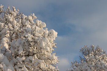 Retour de la neige mercredi soir à Tarbes
