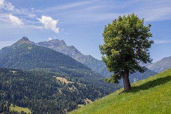 30 degrés sur le tour de France à Tarbes